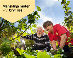 Bild på en äldre person och personal som vattnar i trädgårdsland.
